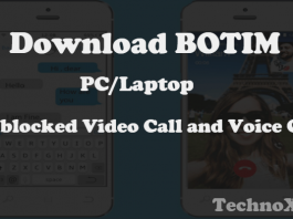 Download BOTIM for PC