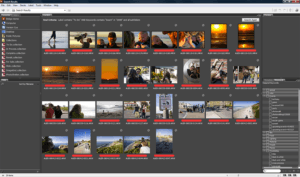 Adobe Bridge