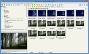 Faststone image viewer - free photo management software