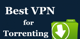best vpns for torrenting