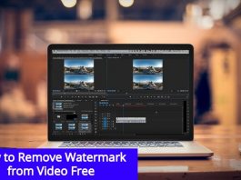 How to Remove Watermark from Video Free