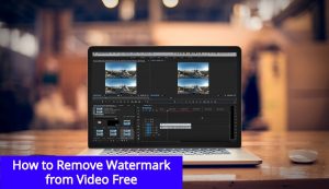How to Remove Watermark from Videos